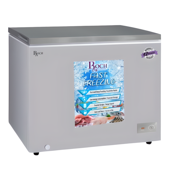 Congélateur Roch Horizontal 300 litres Gris RCF300I